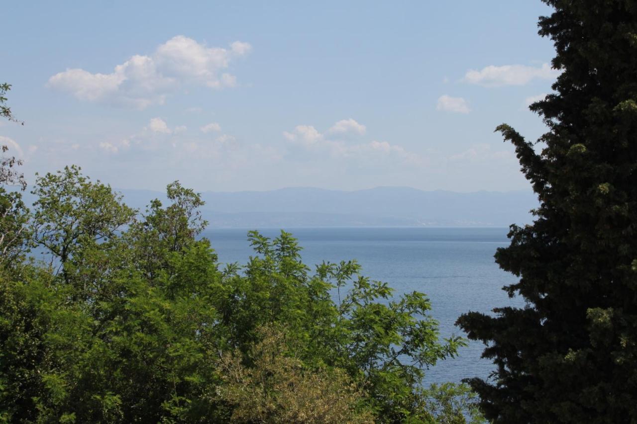 Apartments With A Parking Space Moscenicka Draga, Opatija - 7766 エクステリア 写真